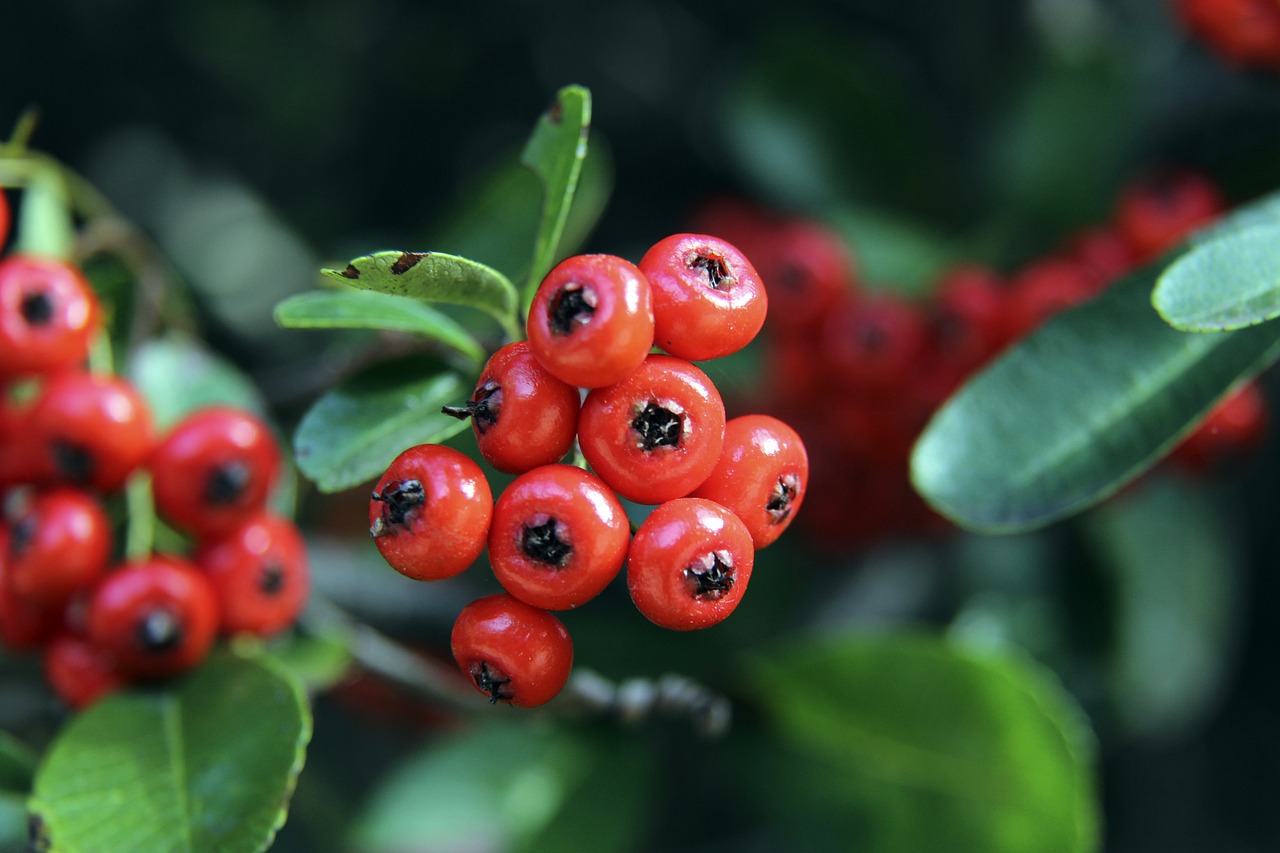 王楚钦的出 王楚钦的出