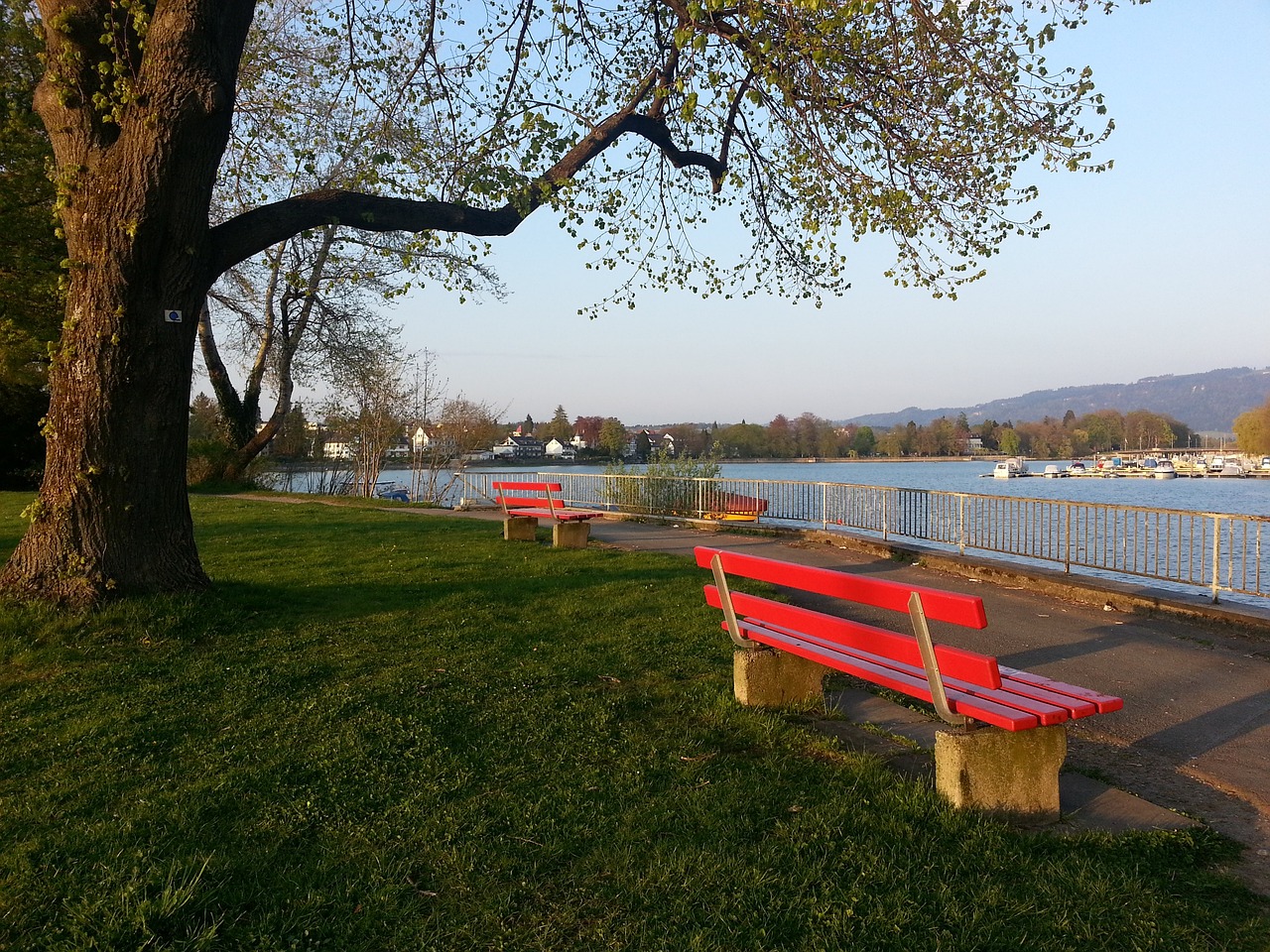 生力军的成 生力军的成