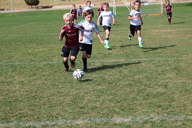 展现了其精 展现了其精