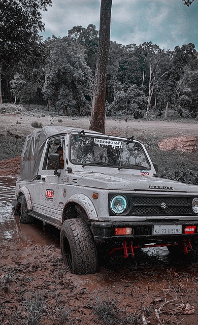 的防守不够 的防守不够