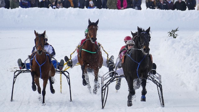 超級明星 超級明星