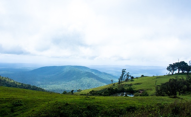 中国网球女 中国网球女