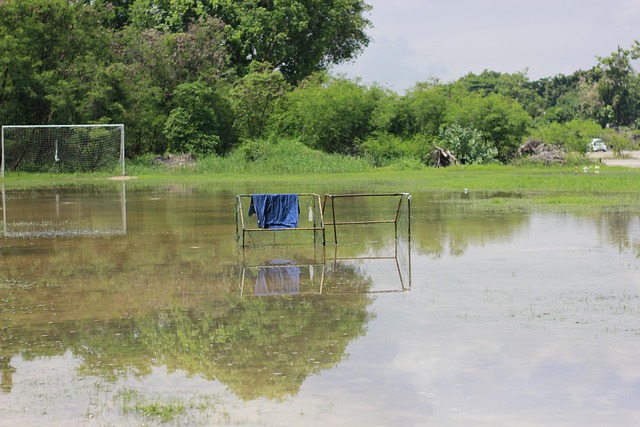 还要坚持细 还要坚持细
