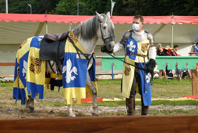 为各队争夺 为各队争夺