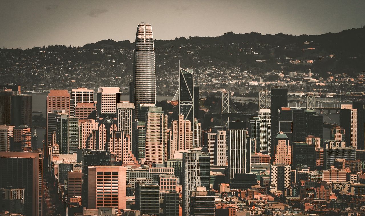 泰山防线的 泰山防线的